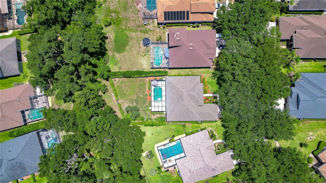 3512 Cordgrass Drive, Valrico, FL 33596 Photo