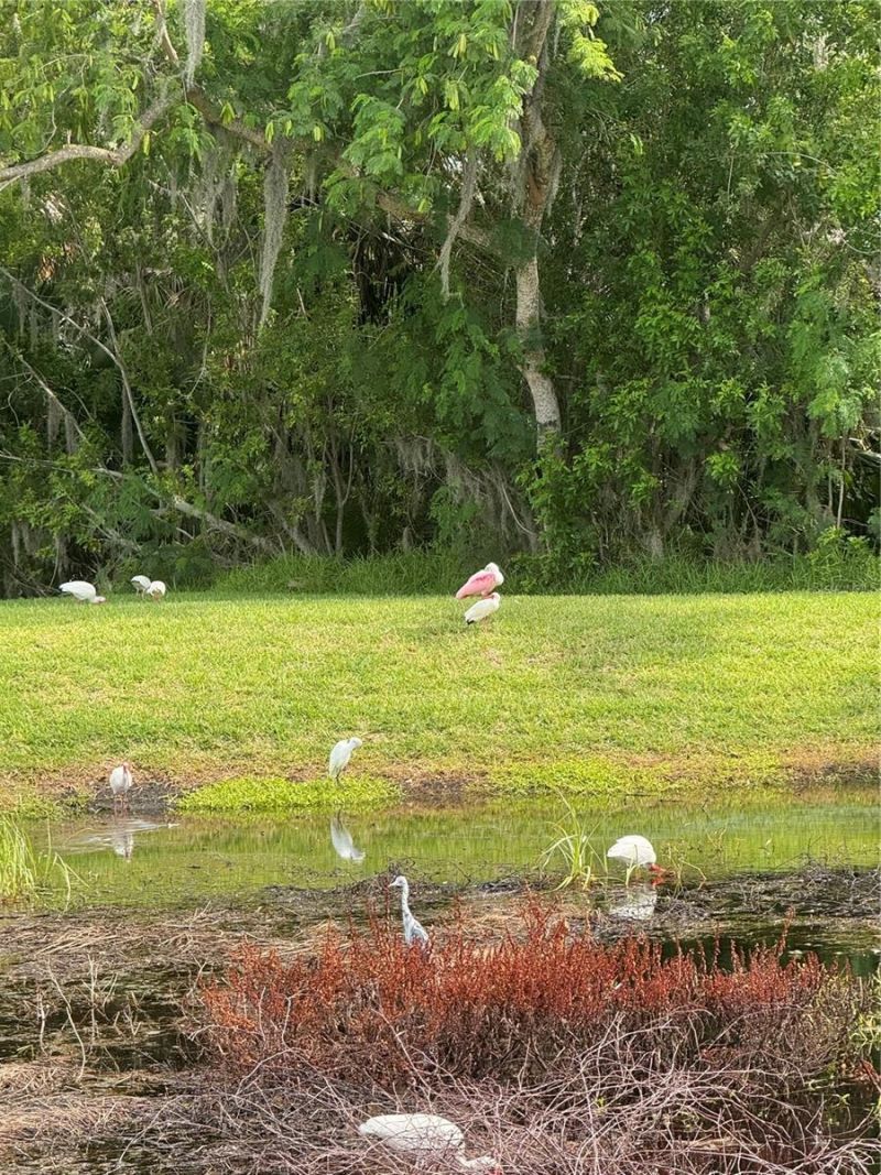 4704 Casswell Drive , New Port Richey, FL 34652 Photo