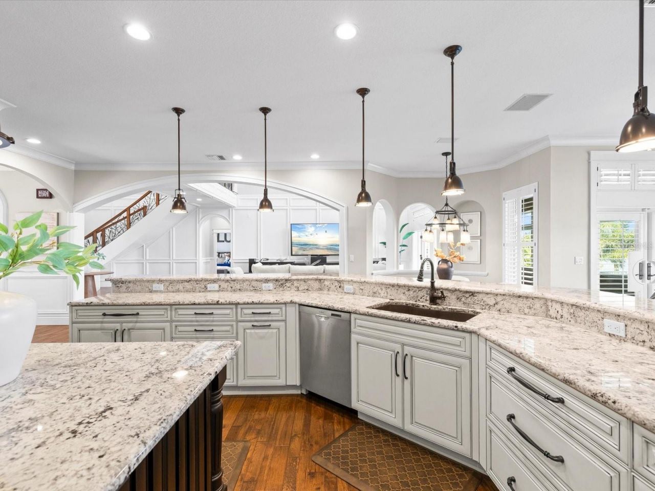 2057 N Pointe Alexis Drive, Tarpon Springs, FL 34689 Photo