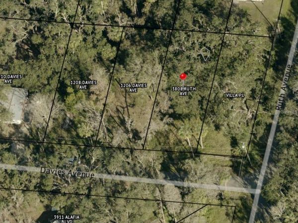1204 DAVIES ROAD , BRANDON, FL 33511