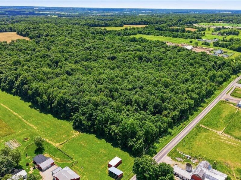 0 Ridge Road , Fredericktown, OH 43019 Photo 3