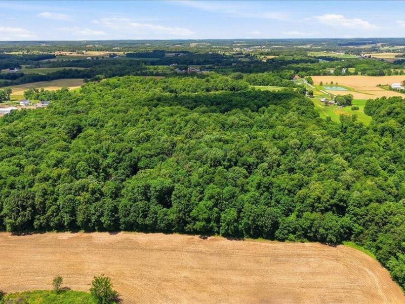 0 Ridge Road , Fredericktown, OH 43019 Photo 4