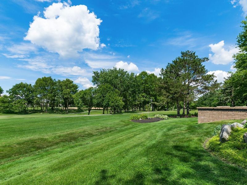 6252 Little Minch Court, Dublin, OH 43017 Photo 66