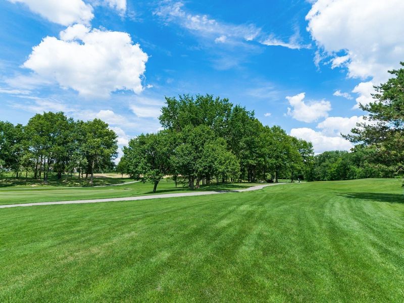 6252 Little Minch Court, Dublin, OH 43017 Photo 67