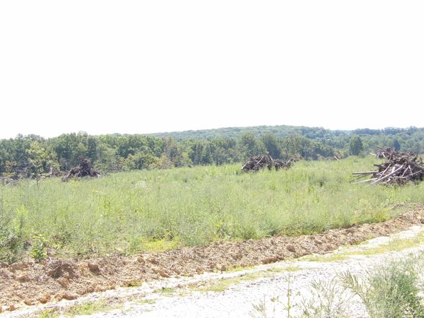 100 Summer City Road, Evensville, TN 37332