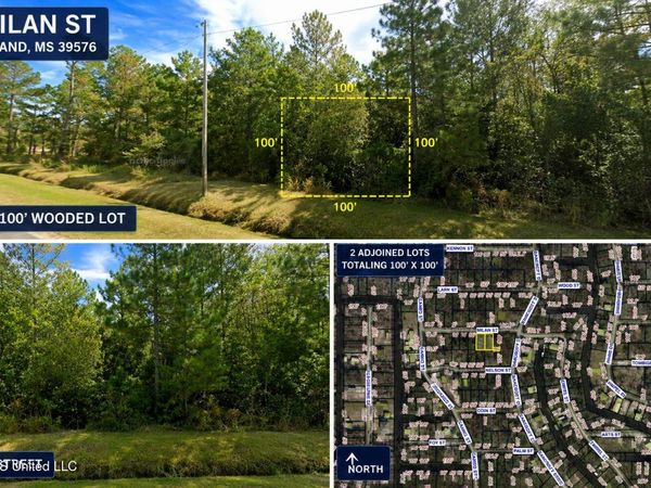 Milan Street, Waveland, MS 39520