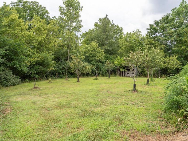 8230 St Rt 73, Liberty Township, OH 45133 Photo 12
