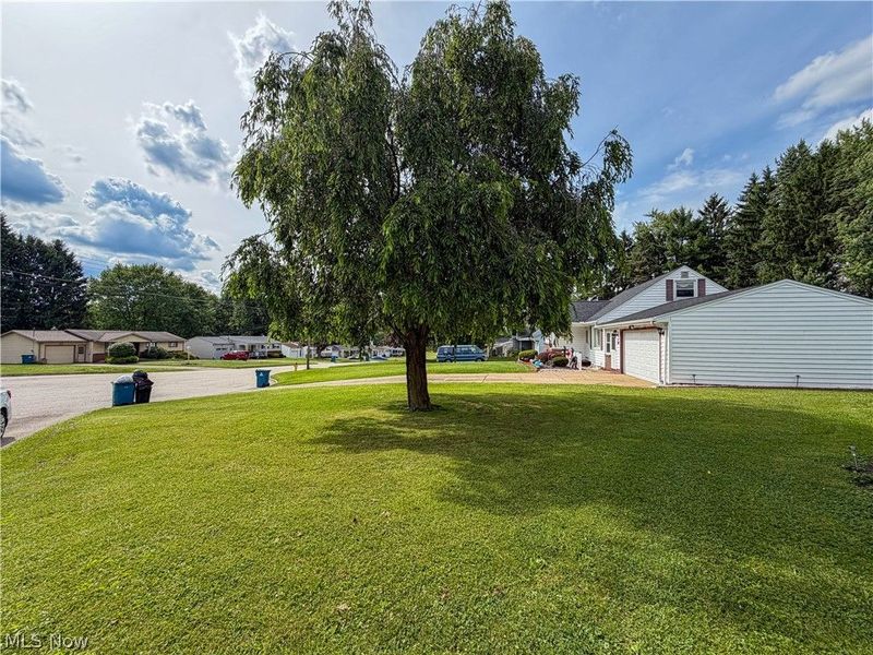 53 Memorial Circle, Campbell, OH 44405 Photo 30