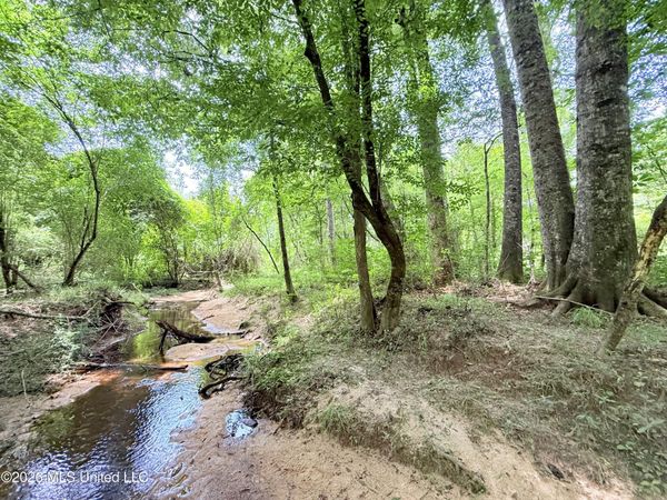 Summit Drive , Bogue Chitto, MS 39629
