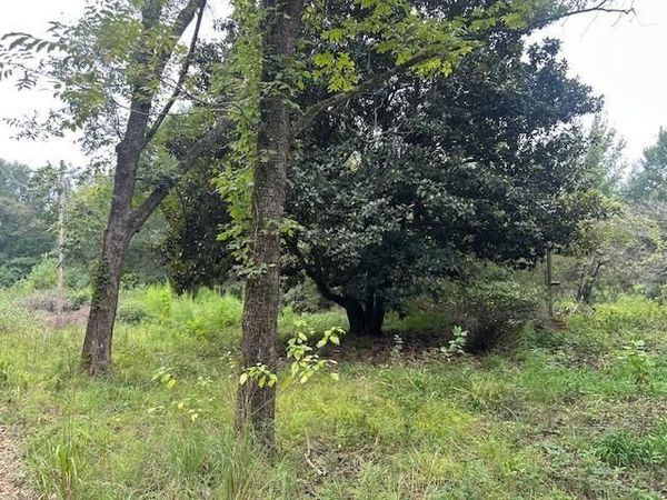 274 Galena Ridge Road, Haworth, OK 74740