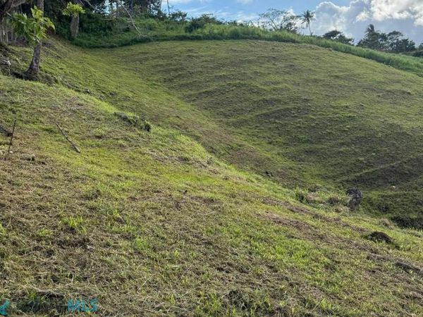 853 PR, Carolina, PR 00987