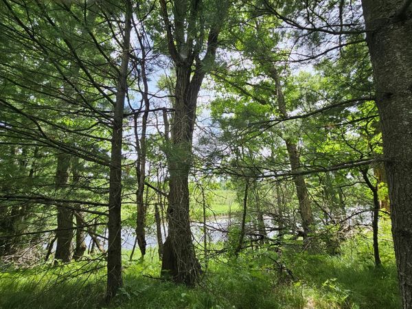 Lot 2 Gaslyn Road , Webster, WI 54893