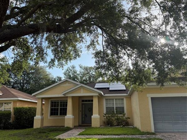 11328 BRIDGE PINE DRIVE , RIVERVIEW, FL 33569