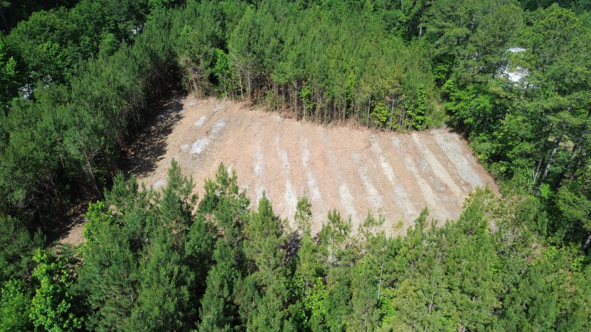 1 Highway 311 Photo 3