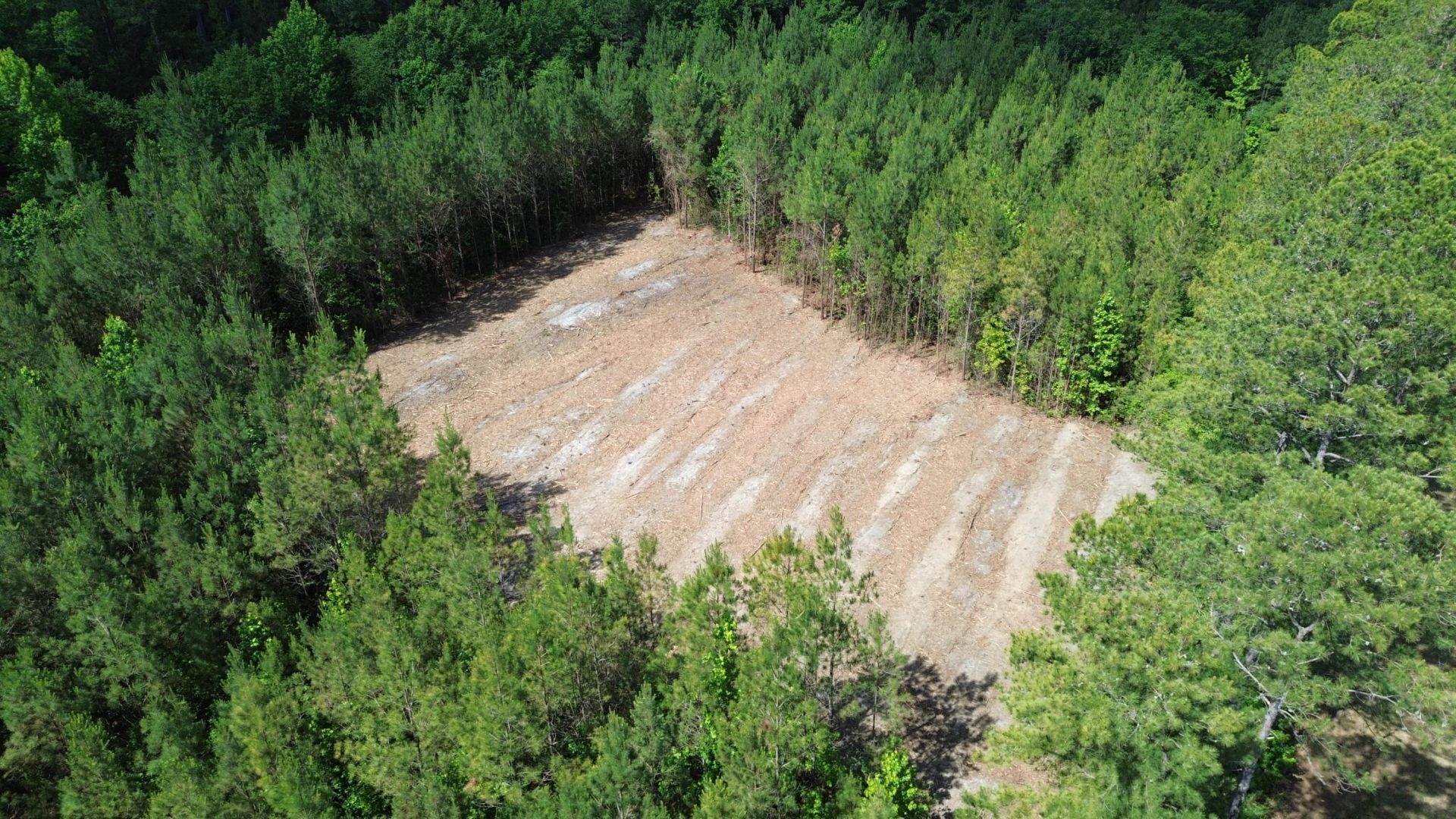 1 Highway 311 Photo 4