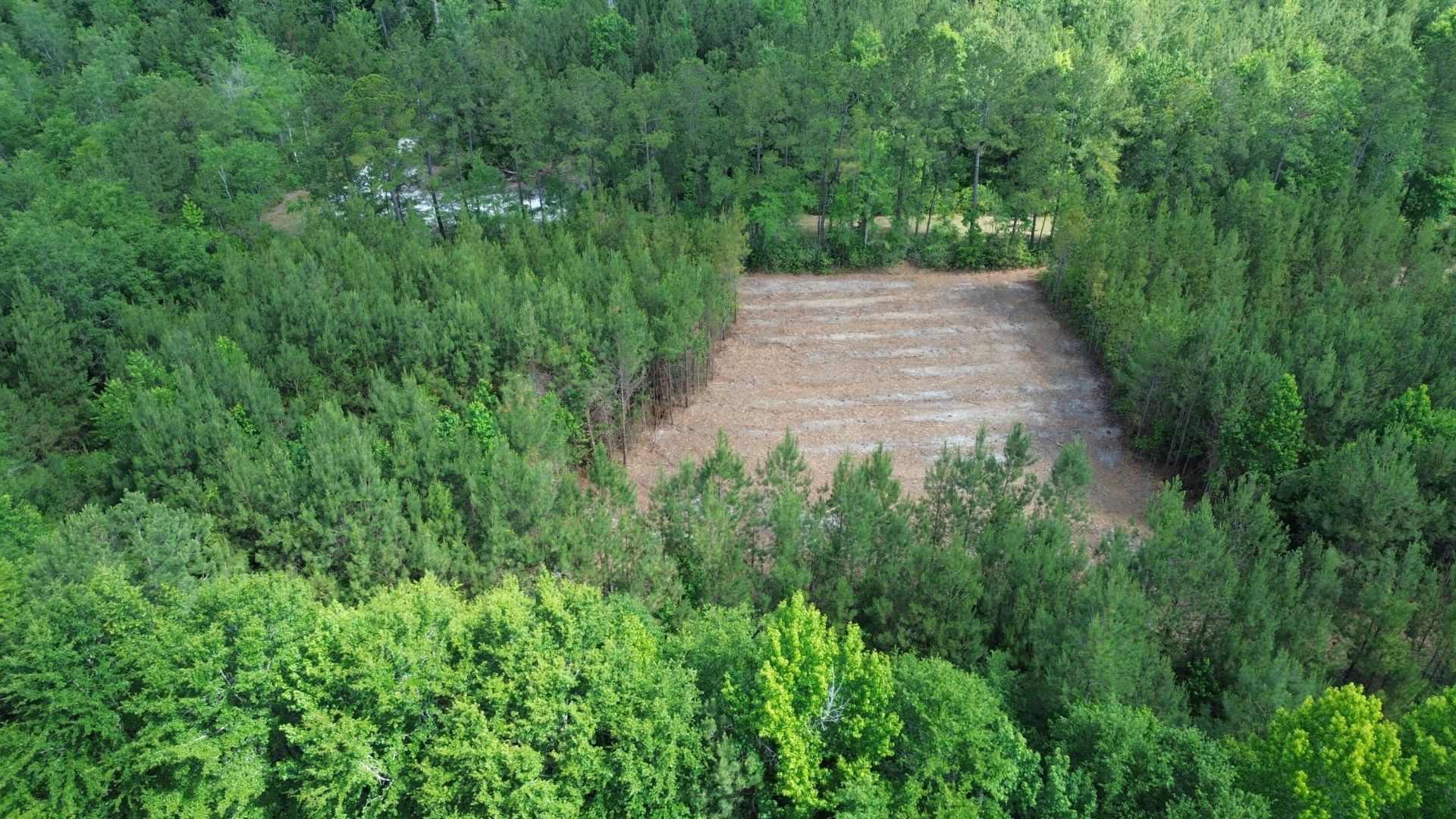 1 Highway 311 Photo 7