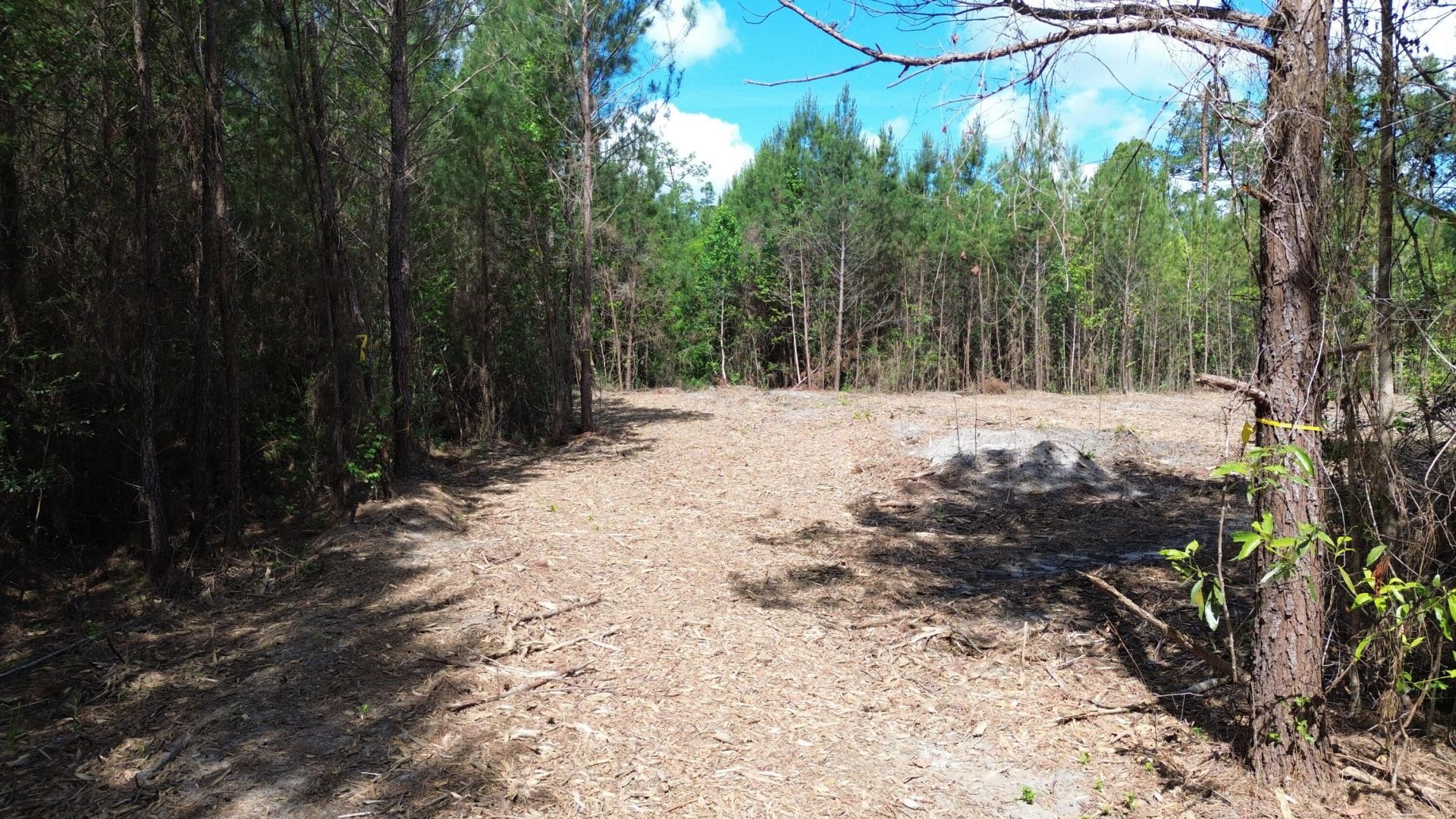 1 Highway 311 Photo 9