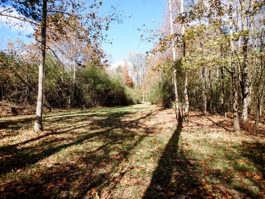 Property Image 68