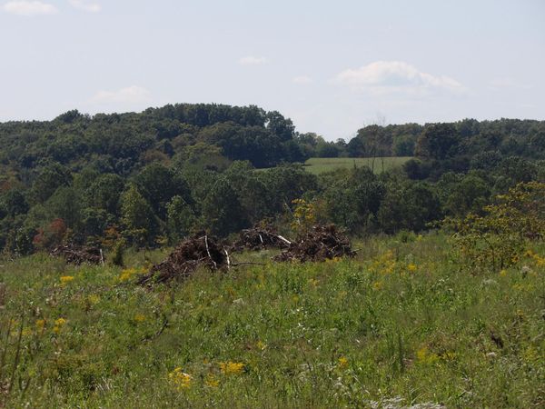 Lot 55 Summer City Road, Evensville, TN 37332
