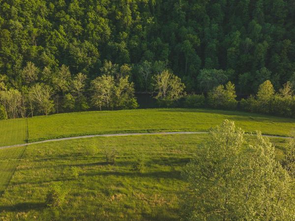 Tract 12R Big Springs Road, Eidson, TN 37731