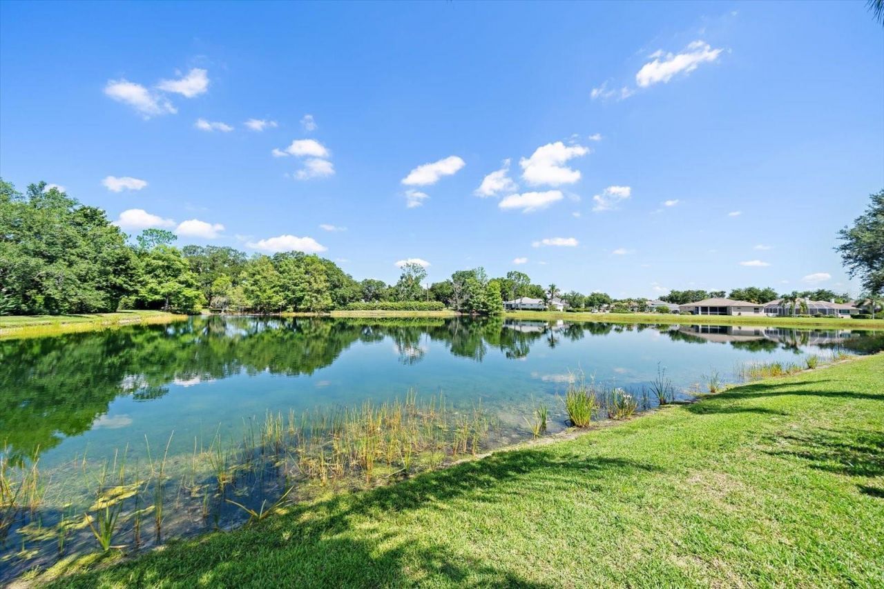 11909 Summer Meadow Drive , Lakewood Ranch, FL 34202 Photo