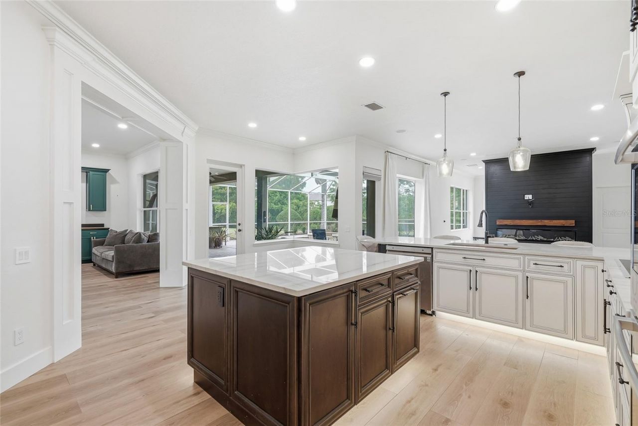23534 Gracewood Circle , Land O Lakes, FL 34639 Photo