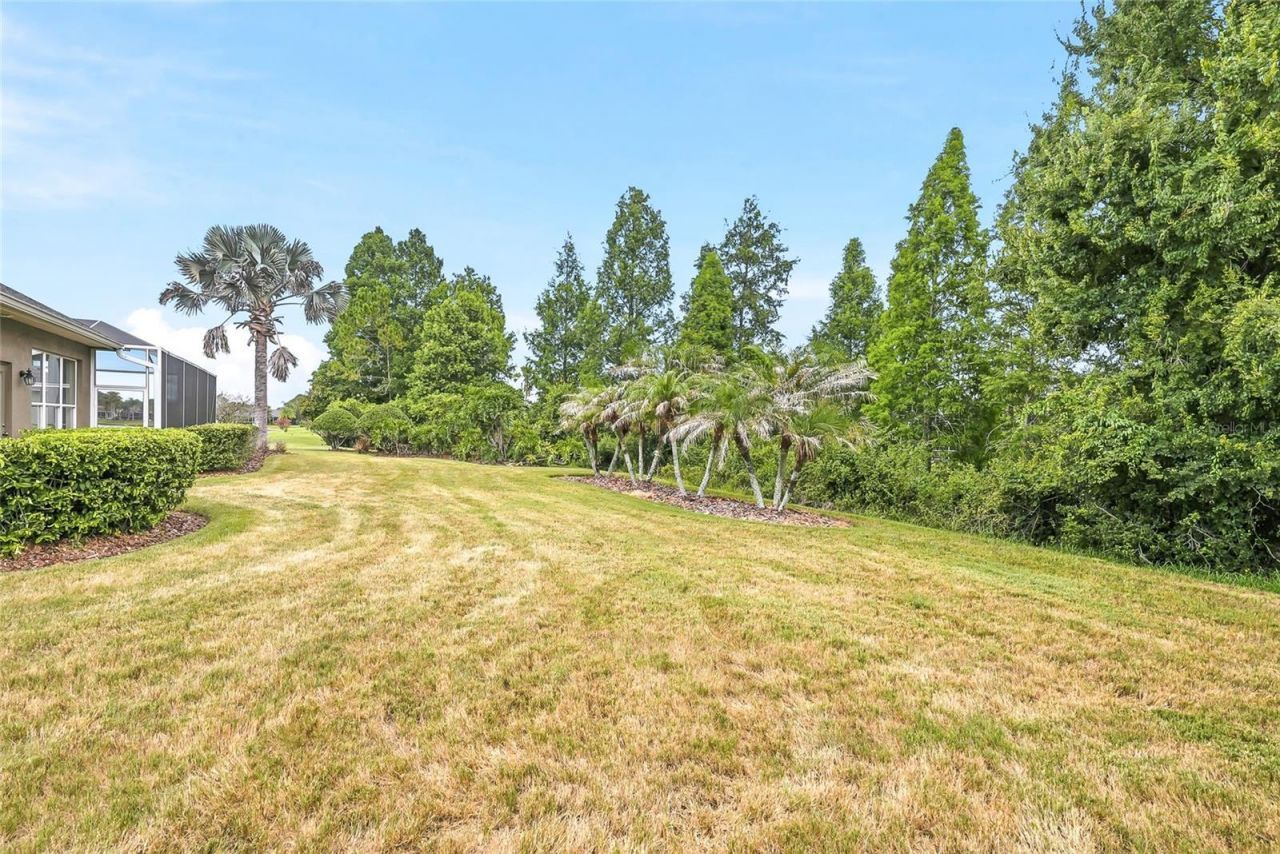 23534 Gracewood Circle , Land O Lakes, FL 34639 Photo
