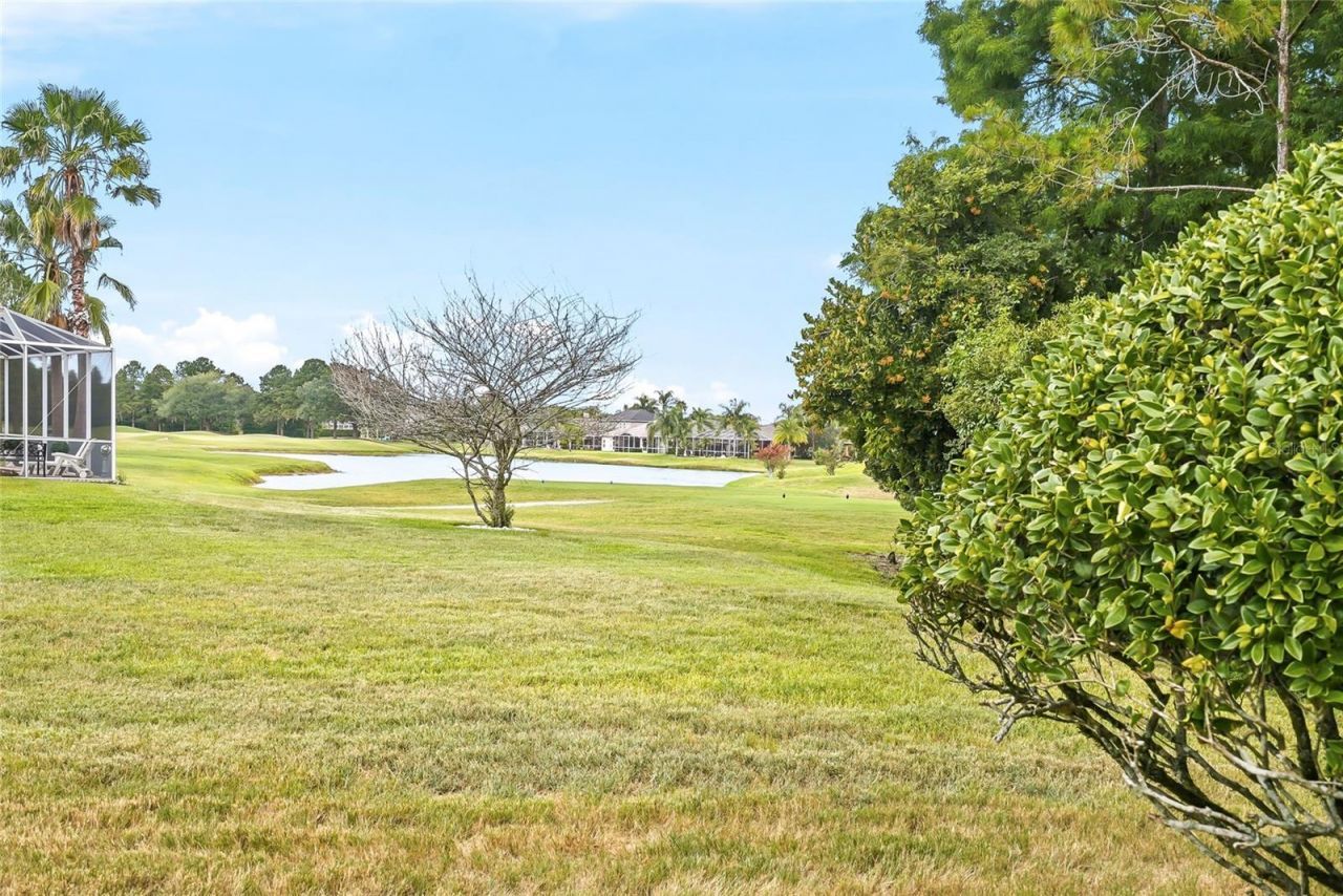 23534 Gracewood Circle , Land O Lakes, FL 34639 Photo