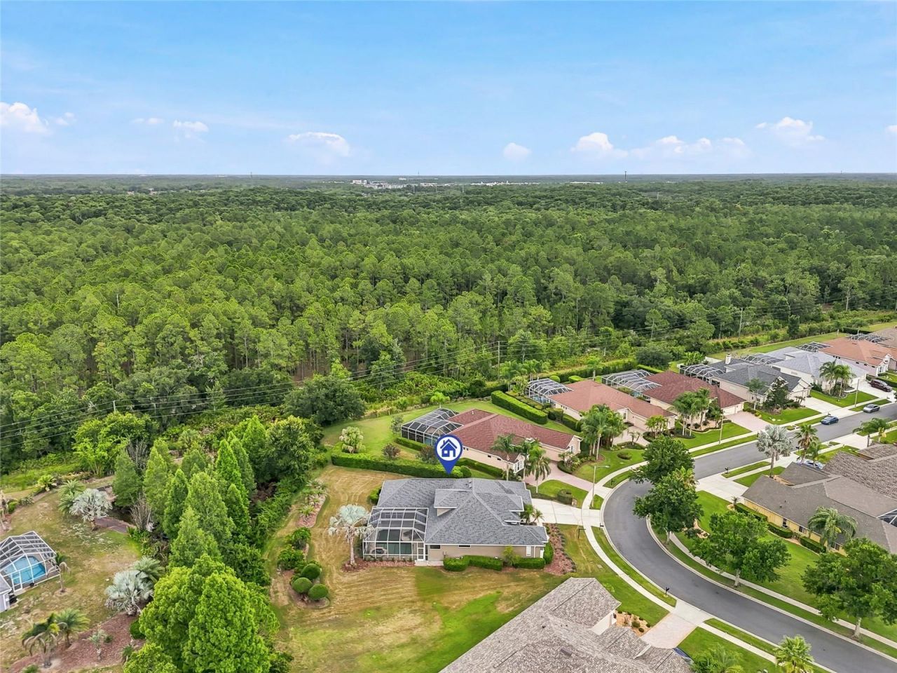 23534 Gracewood Circle , Land O Lakes, FL 34639 Photo