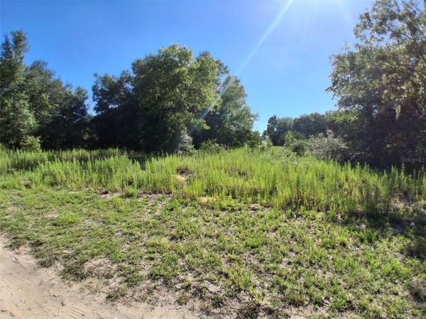 TBD SW 146TH AVENUE , OCALA, FL 34481