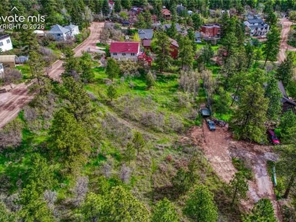 Buena Vista Avenue, Palmer Lake, CO 80133