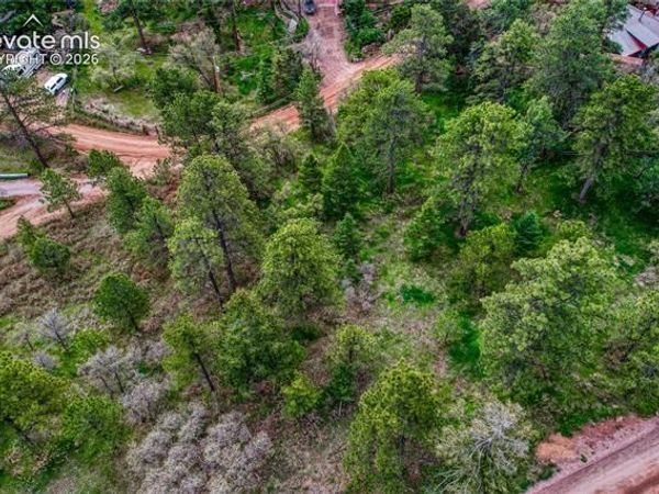 Buena Vista Avenue, Palmer Lake, CO 80133