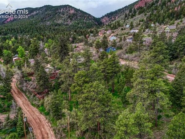Buena Vista Avenue, Palmer Lake, CO 80133