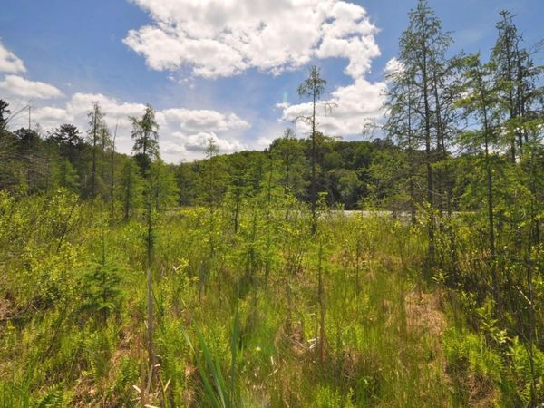 Lot 2 Evening Vista Trail NW, Shingobee Twp, MN 56433