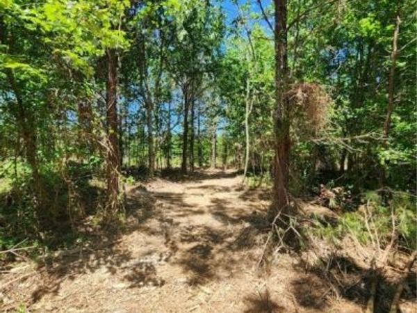 Lot 3 Deep Creek Road , Kents Store, VA 23084
