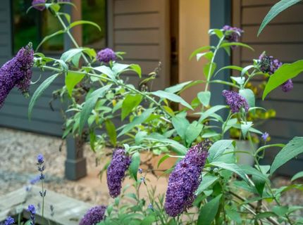 12281 Madrona Way, Nevada City, CA 95959 Photo