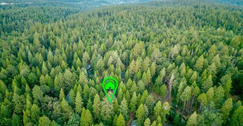 12281 Madrona Way, Nevada City, CA 95959 Photo