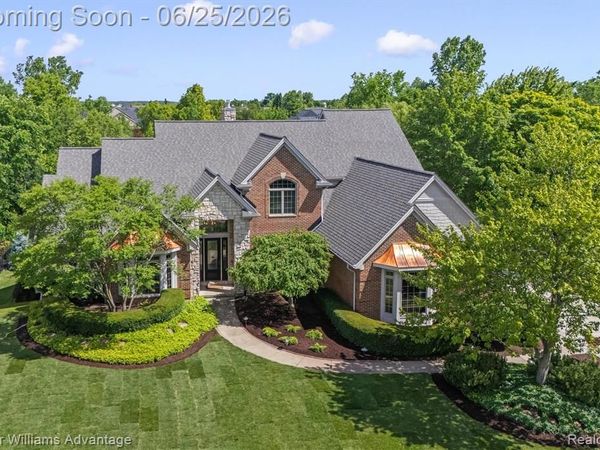 22878 Tree Top Court, Lyon Twp, MI 48178