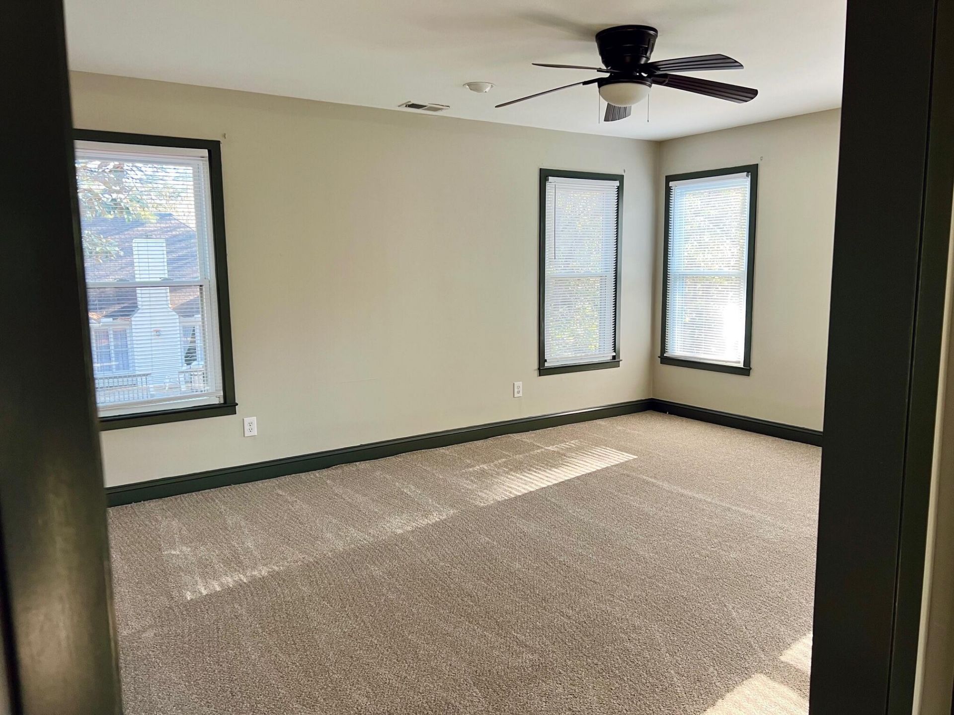 416 Springfield Road Photo 19