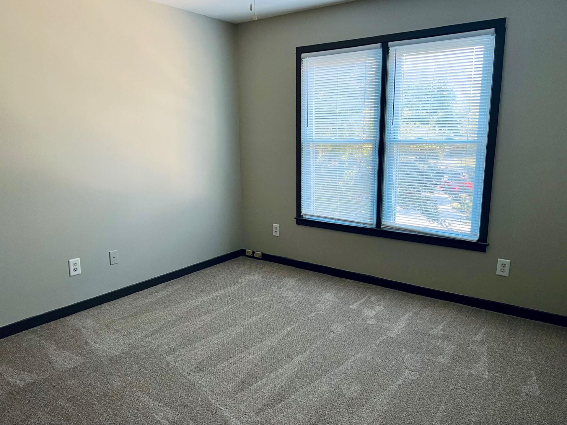 416 Springfield Road Photo 29