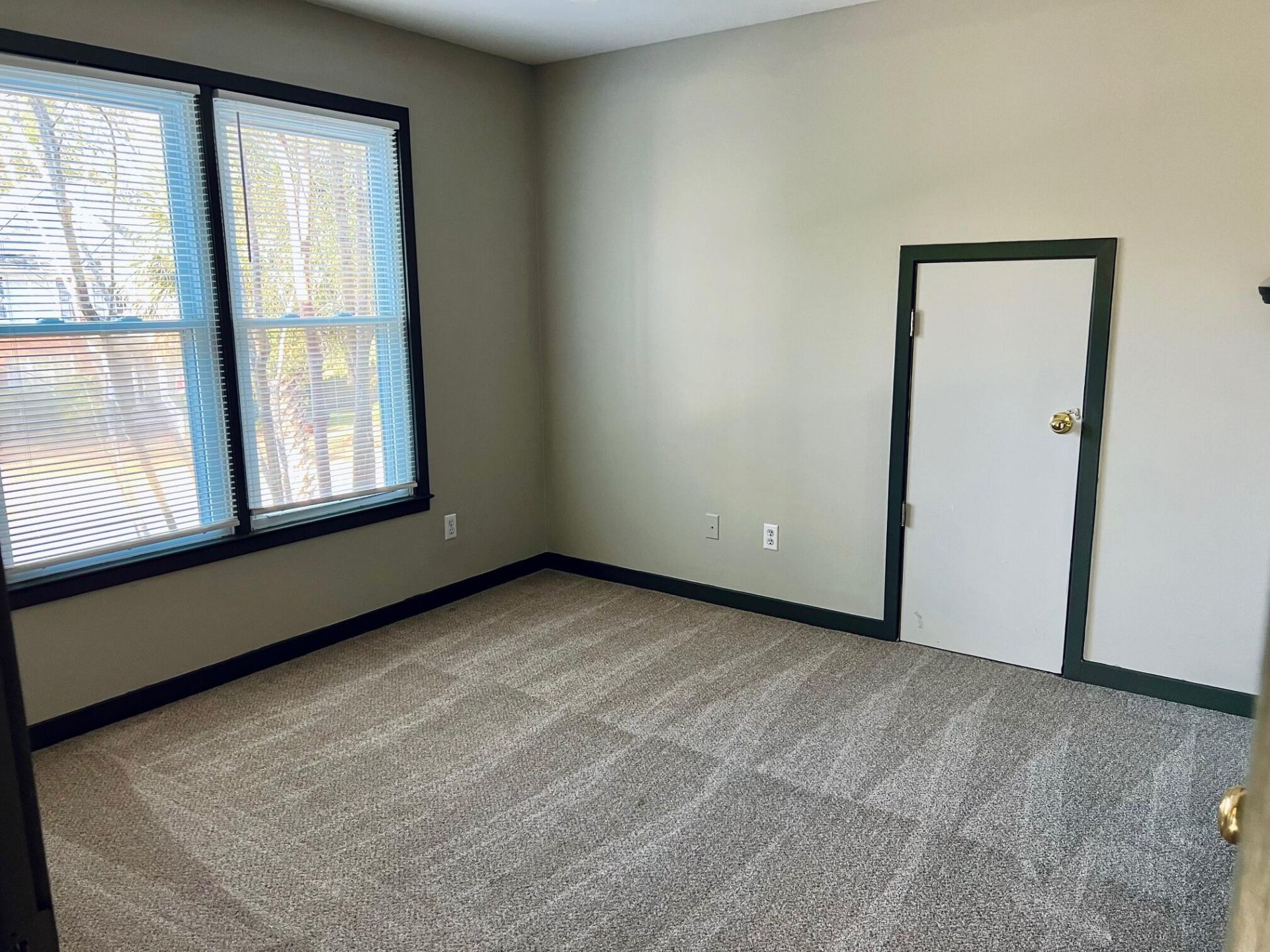 416 Springfield Road Photo 31