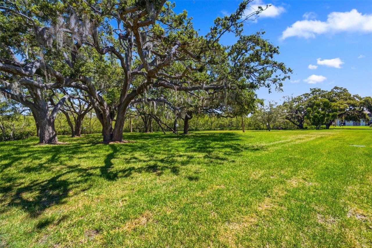 4829 Onyx Lane , Unit 102, New Port Richey, FL 34652 Photo