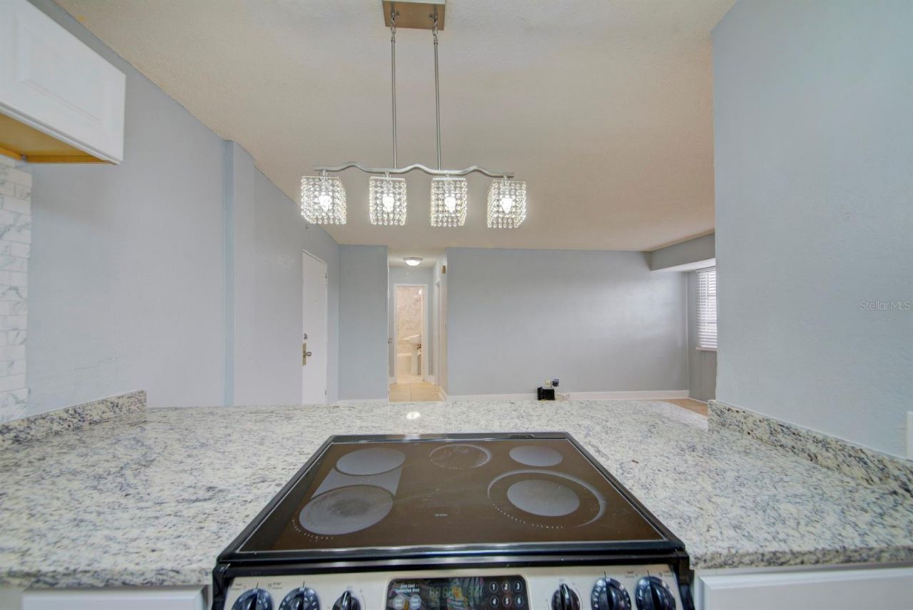 3315 58th Avenue S, Unit 306, Saint Petersburg, FL 33712 Photo