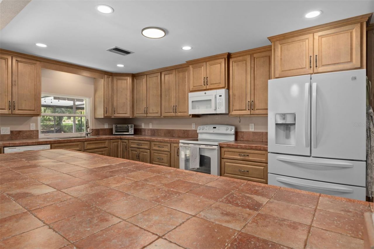 12380 Trout Circle , Spring Hill, FL 34609 Photo