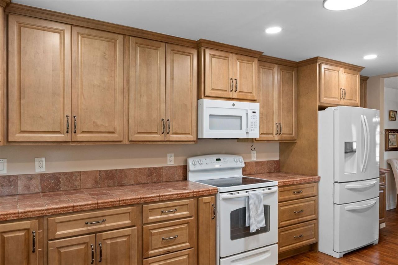 12380 Trout Circle , Spring Hill, FL 34609 Photo
