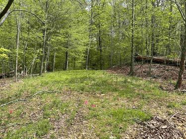 000 Blake Road, Unit Lot 39 & 4, Eddyville, KY 42038