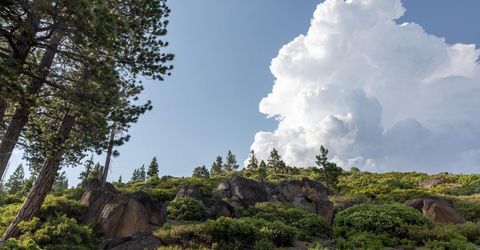 1455 North Lake Boulevard, Tahoe City, CA 96145 Photo