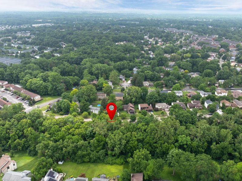 2964 Heatherleaf Way, Columbus, OH 43231 Photo 63