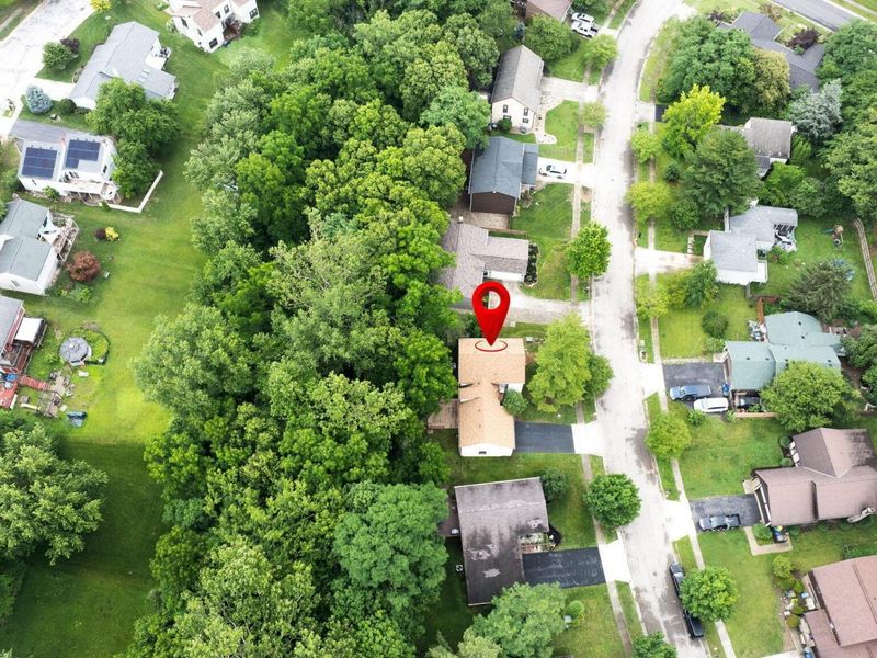 2964 Heatherleaf Way, Columbus, OH 43231 Photo 67