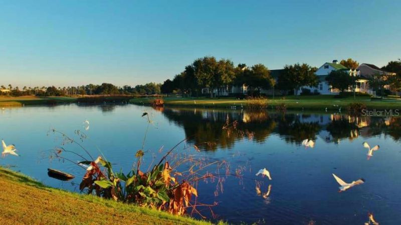 934 Westpark Drive, Celebration, FL 34747 Photo